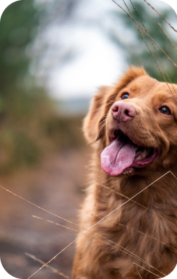 slide13 e1681815766188