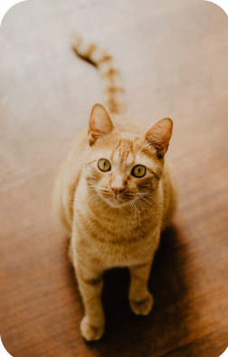 slide15 e1681815699813