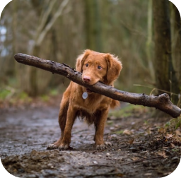 slide18 e1681815647264